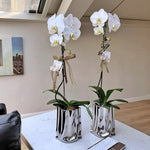 Household Light Luxury Electroplated Ceramic Vase