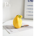 Nordic Modern Ins Style Fruit Vase Decoration