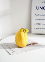 Nordic Modern Ins Style Fruit Vase Decoration