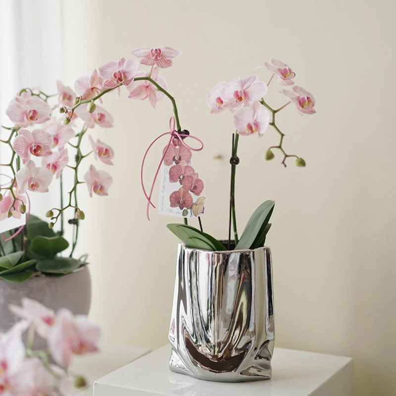 Household Light Luxury Electroplated Ceramic Vase