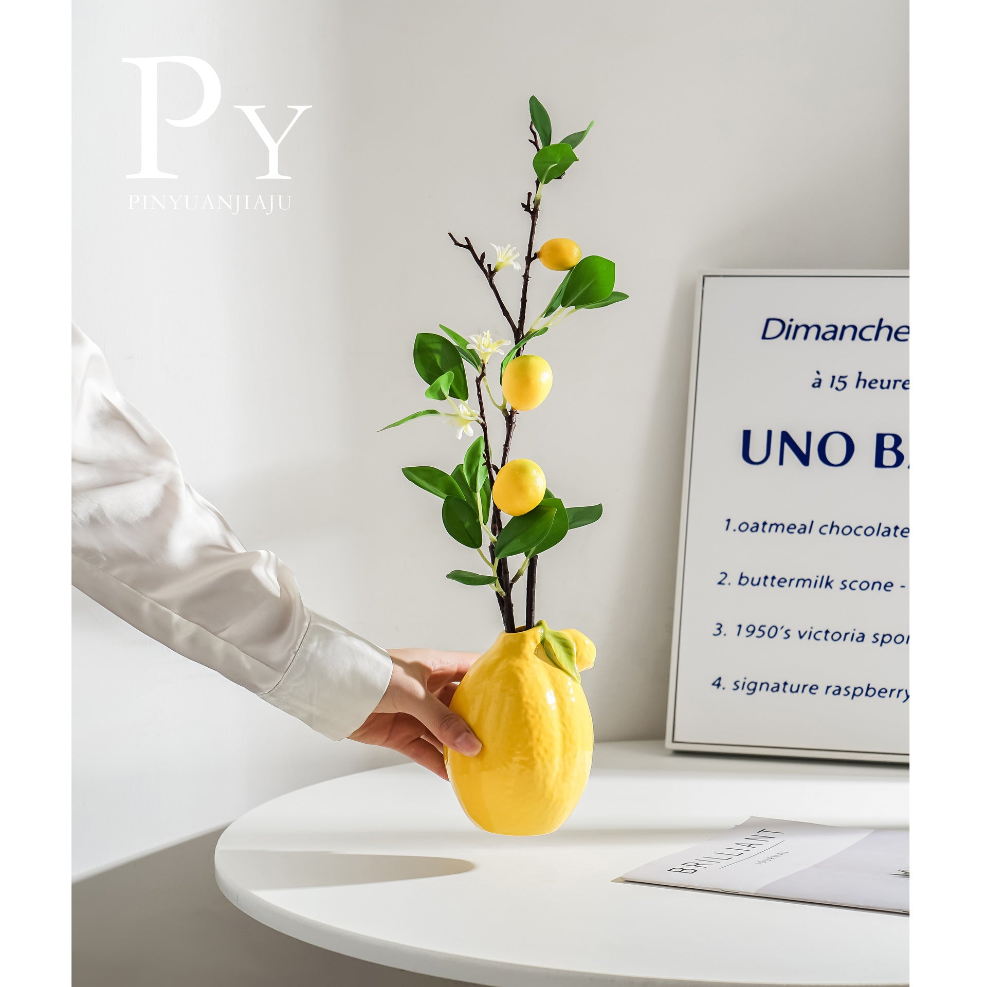 Nordic Modern Ins Style Fruit Vase Decoration